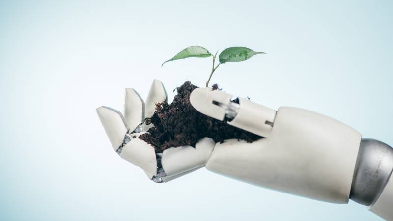 Empowering Sustainability: Transforming Future Leaders
