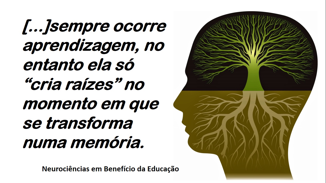 Neuroeducation: Transforming Learning Insights